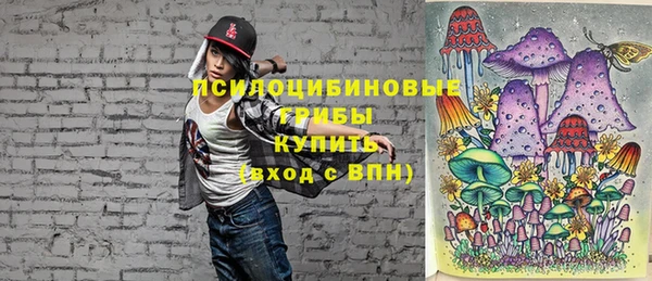 ГАЛЛЮЦИНОГЕННЫЕ ГРИБЫ Арсеньев