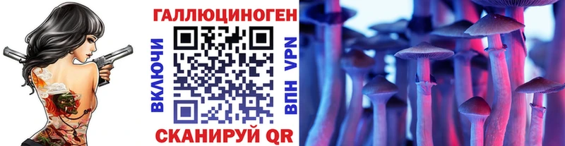 Галлюциногенные грибы Psilocybe  Чебаркуль 
